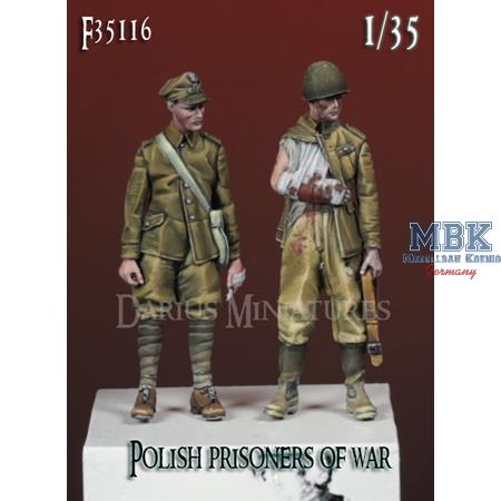 Polish Prisoners, Campaign September 1939