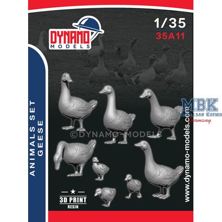 Animals Serie - Geese
