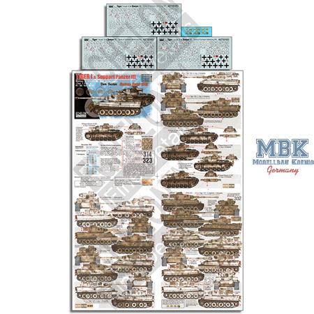 schwPzAbt 503 Tiger I & Support Pz IIIs Don Sector