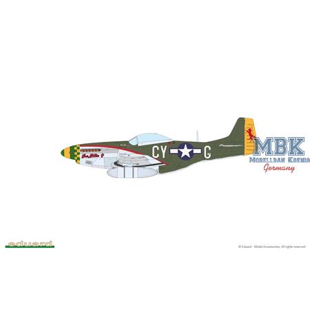 MIGHTY EIGHTH: 66th Fighter Wing - Limited Ed. -