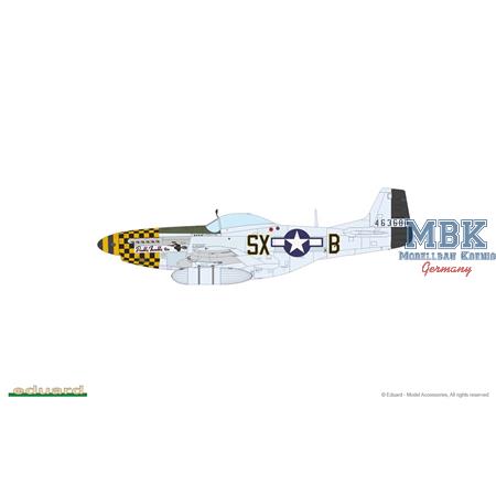 MIGHTY EIGHTH: 66th Fighter Wing - Limited Ed. -