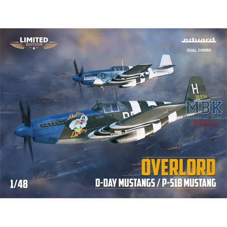OVERLORD: D-Day Mustangs (P-51B)