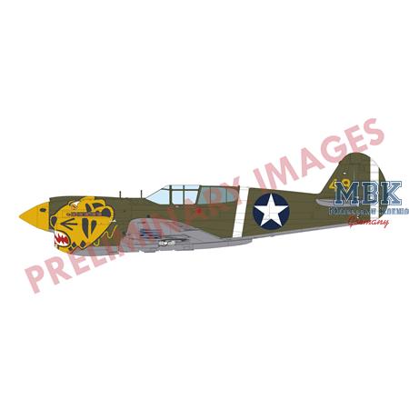 "Pacific Star" Curtiss P-40E Warhawk Dual Combo