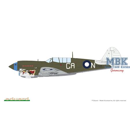 KITTYHAWK Dual Combo (Curtiss P-40E + P-40N)