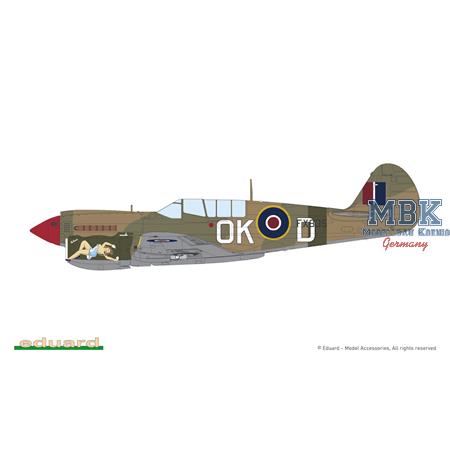 KITTYHAWK Dual Combo (Curtiss P-40E + P-40N)