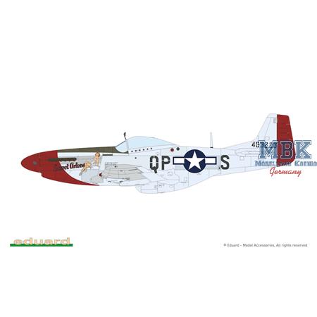 MIGHTY EIGHT: 65th Fighter Wing P-51D 1/48