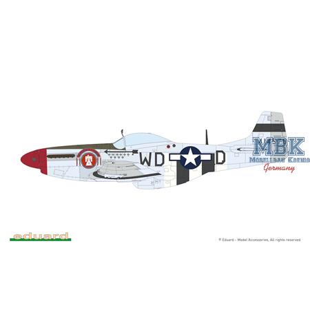 MIGHTY EIGHT: 65th Fighter Wing P-51D 1/48