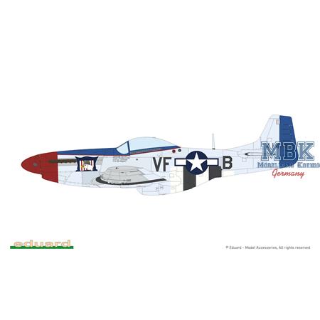 MIGHTY EIGHT: 65th Fighter Wing P-51D 1/48