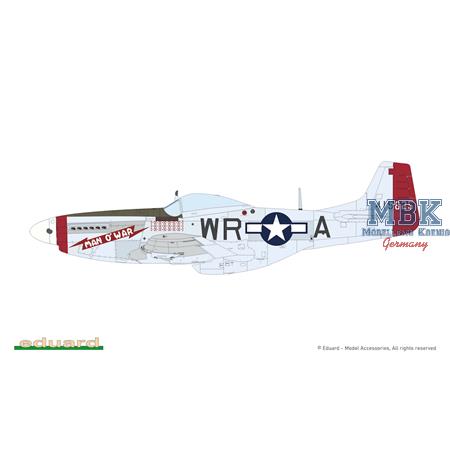 MIGHTY EIGHT: 65th Fighter Wing P-51D 1/48