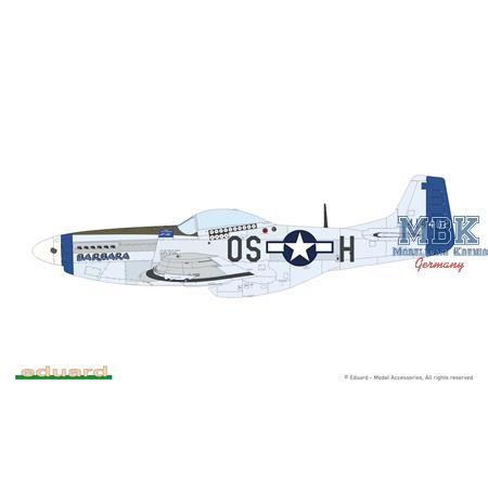 MIGHTY EIGHT: 65th Fighter Wing P-51D 1/48