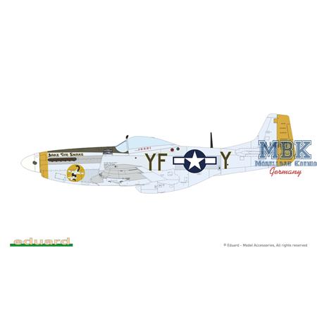 MIGHTY EIGHT: 65th Fighter Wing P-51D 1/48