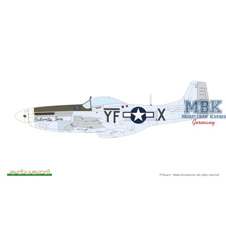 MIGHTY EIGHT: 65th Fighter Wing P-51D 1/48