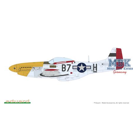 MIGHTY EIGHT: 65th Fighter Wing P-51D 1/48