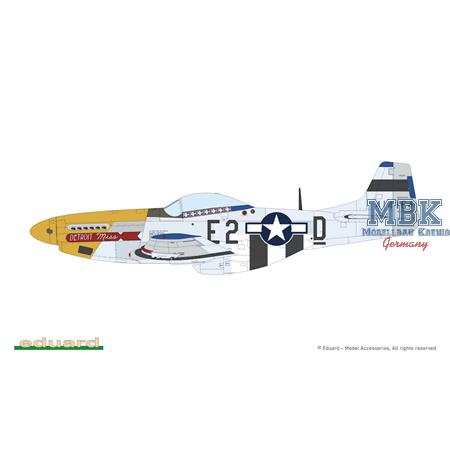 MIGHTY EIGHT: 65th Fighter Wing P-51D 1/48
