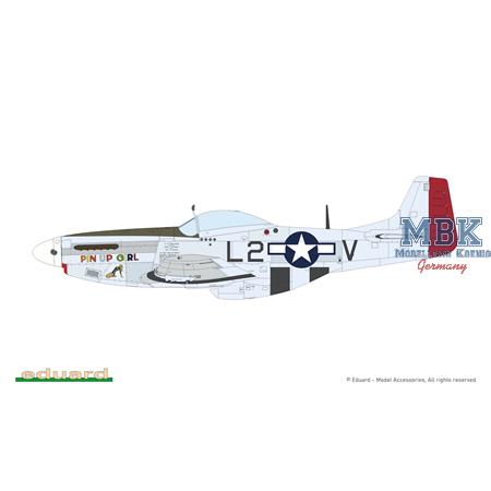 MIGHTY EIGHT: 65th Fighter Wing P-51D 1/48
