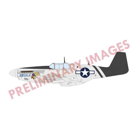 Sharks and Stallions Dual Combo (P-40N and P-51B)