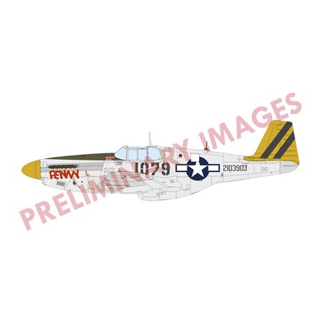 Sharks and Stallions Dual Combo (P-40N and P-51B)