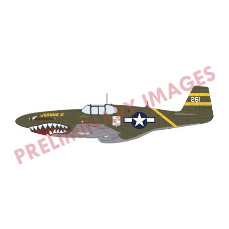 Sharks and Stallions Dual Combo (P-40N and P-51B)