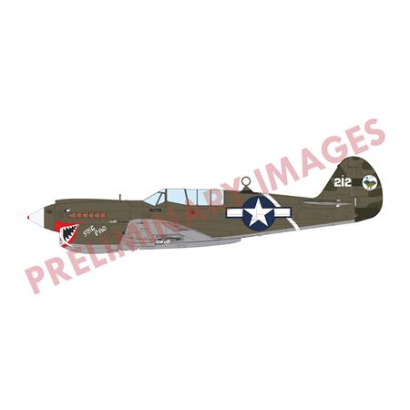 Sharks and Stallions Dual Combo (P-40N and P-51B)