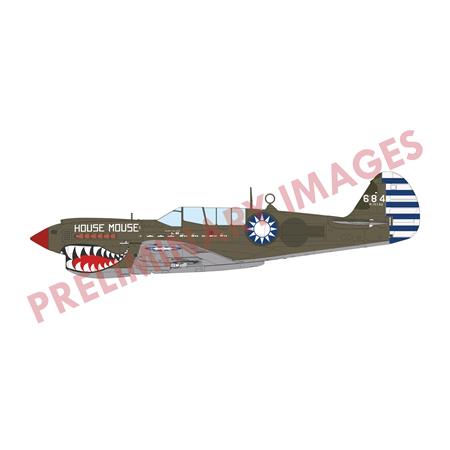 Sharks and Stallions Dual Combo (P-40N and P-51B)