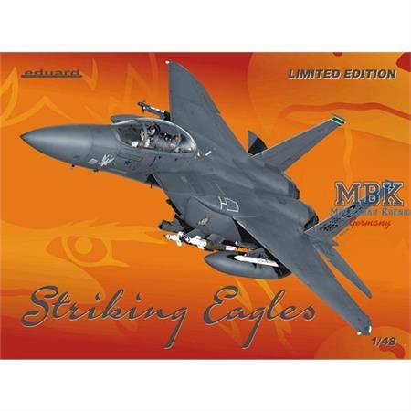 "Strike Eagle" F-15E "USAF, IASF"