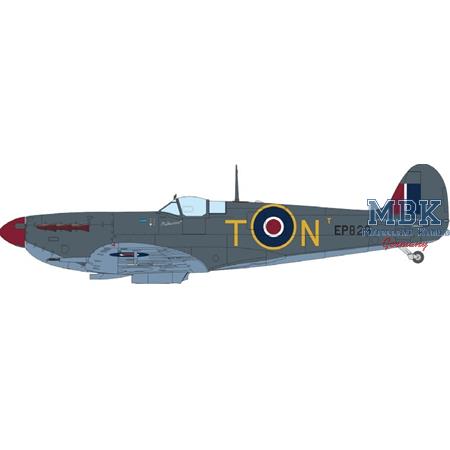 SPITFIRE STORY: The Sweeps DUAL COMBO