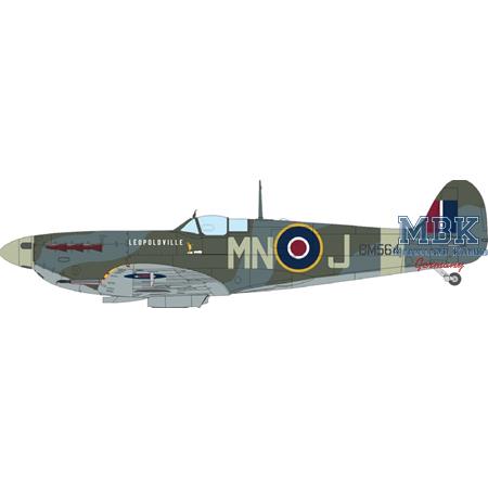 SPITFIRE STORY: The Sweeps DUAL COMBO