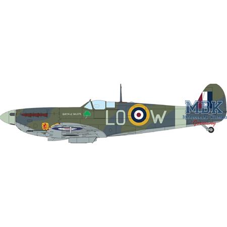 SPITFIRE STORY: The Sweeps DUAL COMBO