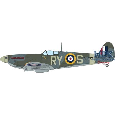 SPITFIRE STORY: The Sweeps DUAL COMBO