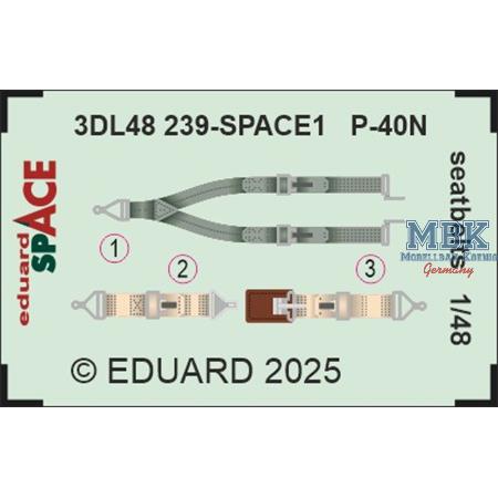 Curtiss P-40N Warhawk seatbelts SPACE 1/48