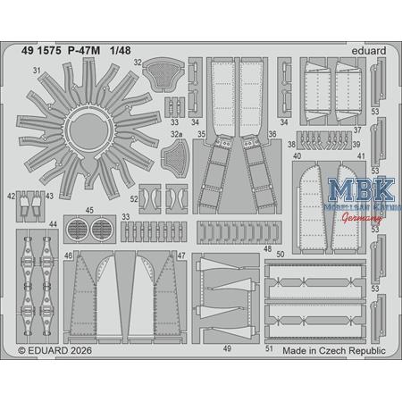 Republic P-47M Thunderbolt 1/48