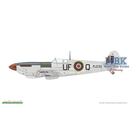 Spitfire Mk.IX late version