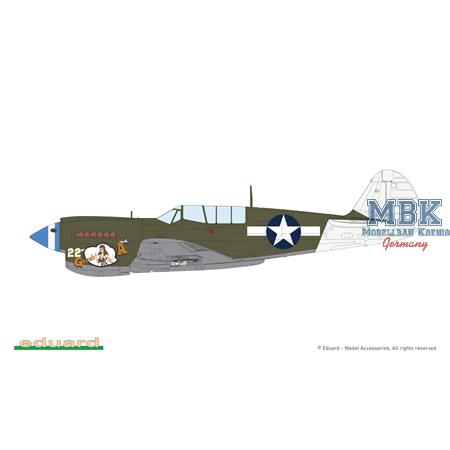 Curtiss P-40N Warhawk - ProfiPack -