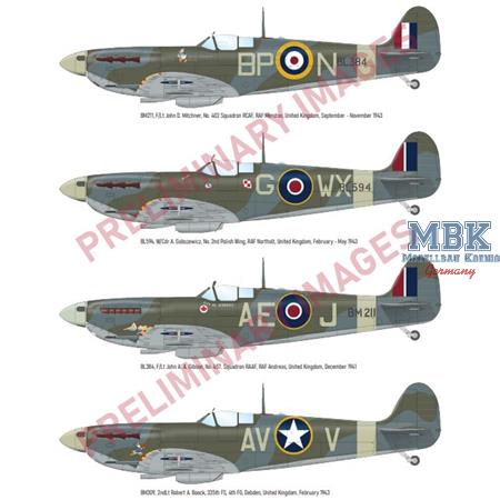 Supermarine Spitfire Mk.Vb mid - Weekend Edition