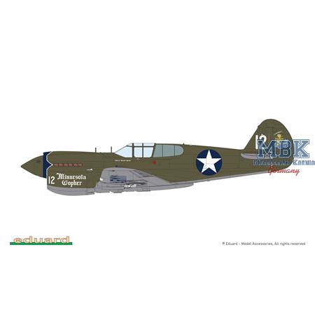Curtiss P-40E Warhawk - Weekend Edition