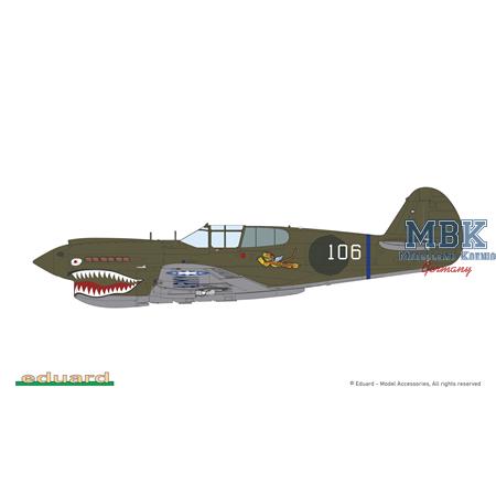 Curtiss P-40E Warhawk - Weekend Edition
