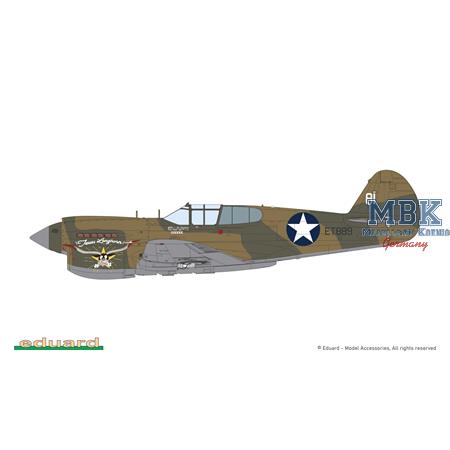 Curtiss P-40E Warhawk - Weekend Edition