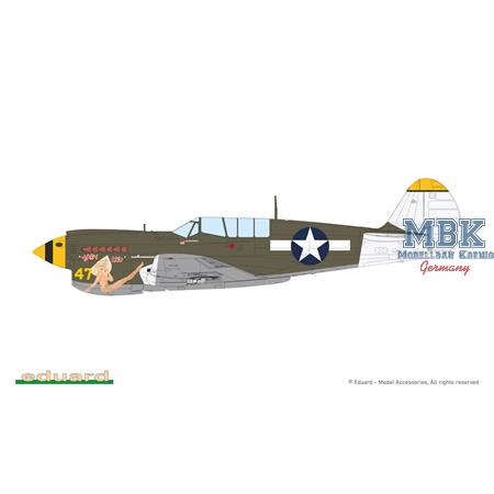 Curtiss P-40N Warhawk - Weekend Edition