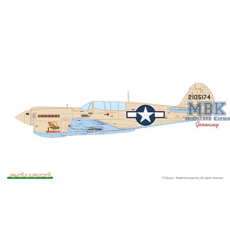 Curtiss P-40N Warhawk - Weekend Edition