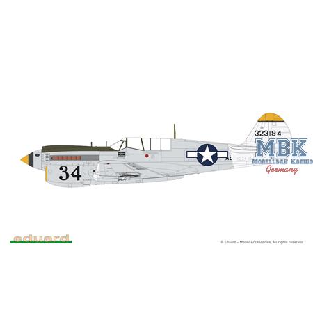 Curtiss P-40N Warhawk - Weekend Edition