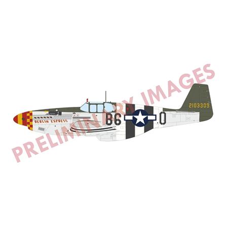 North American P-51B/C Birdcage Canop Royal Hybrid