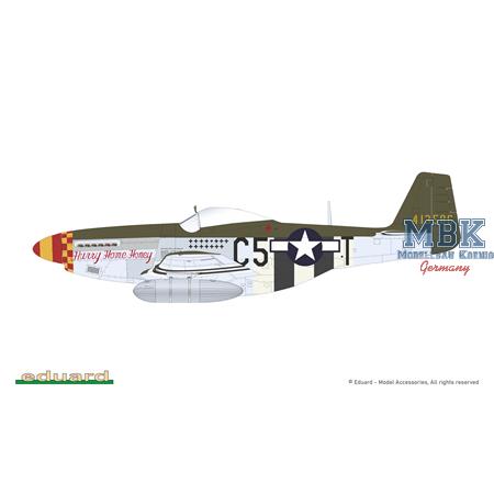 North-American P-51D-5 Mustang "357th FG"