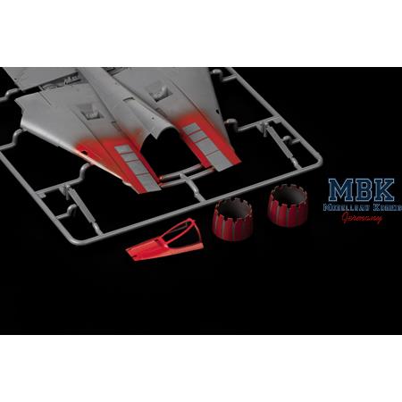Grumman F-14D Tomcat 1/48 Masking Tape