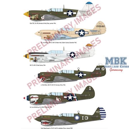 Curtiss P-40N Warhawk Dual Combo ROYAL CLASS