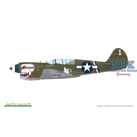 Curtiss P-40N Warhawk Dual Combo ROYAL CLASS