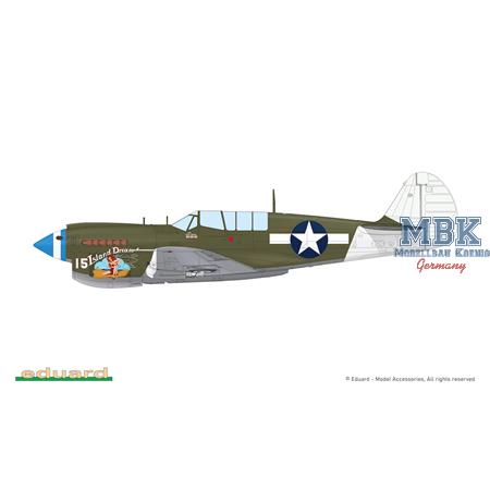 Curtiss P-40N Warhawk Dual Combo ROYAL CLASS