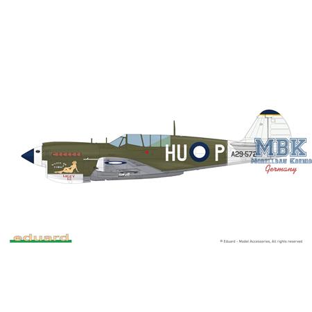 Curtiss P-40N Warhawk Dual Combo ROYAL CLASS