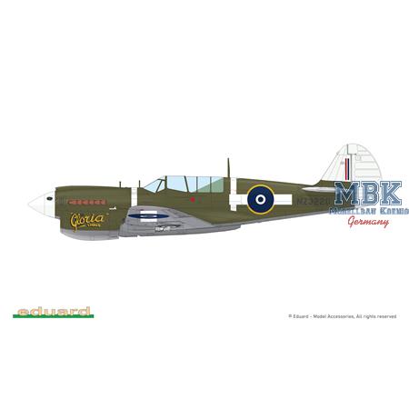 Curtiss P-40N Warhawk Dual Combo ROYAL CLASS