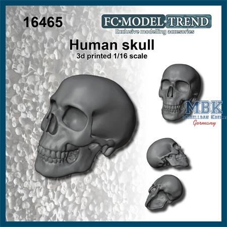 Human skull / Totenschädel 1:16