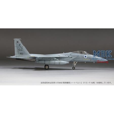 McDonnell Douglas F-15C "Baz" IAF